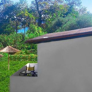 Standart Studio Odası